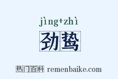 劲鸷是什么意思的图片